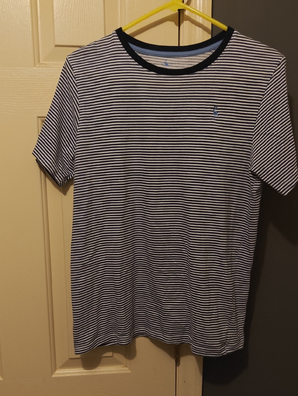 Tailorbyrd Navy and White Striped Short-Sleeve Crewneck